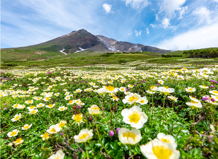 写真の町 東川町